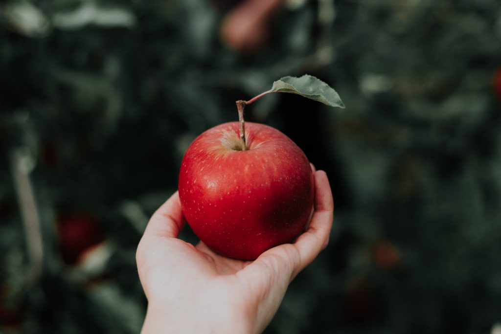 Toddler Bible Devotion about Being Precious to God. Keep me as the Apple of 